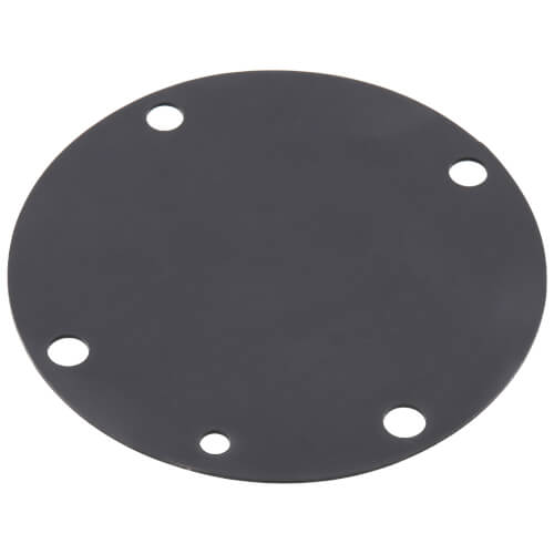 Diaphragm, 400101