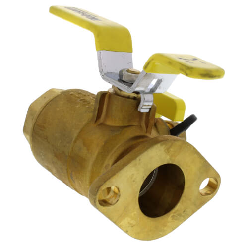 1-1/2" Threaded Isolator with Drain - High Velocity