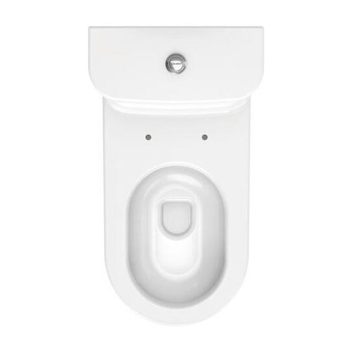 Darling New One-Piece Elongated Toilet, High Gloss (White), 2123010005