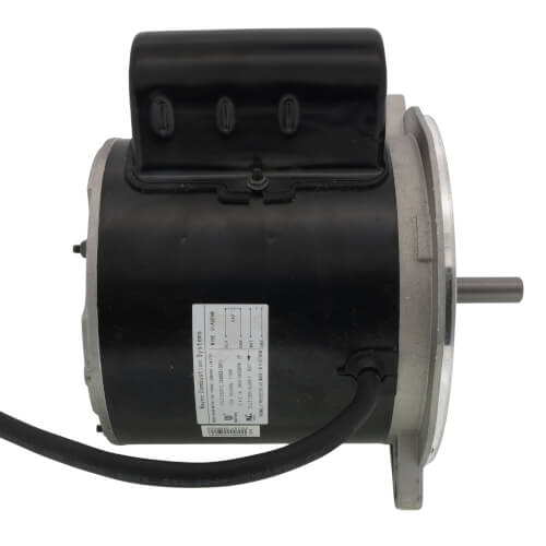 Motor (1/5 HP, 115 V)