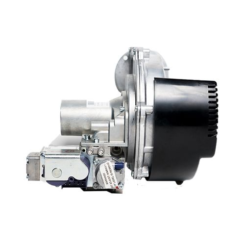 Blower Fan Assembly for EF High Efficiency Series, 243-46010-01