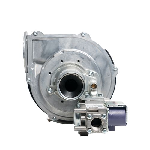Blower Fan Assembly for EF High Efficiency Series, 243-46010-01